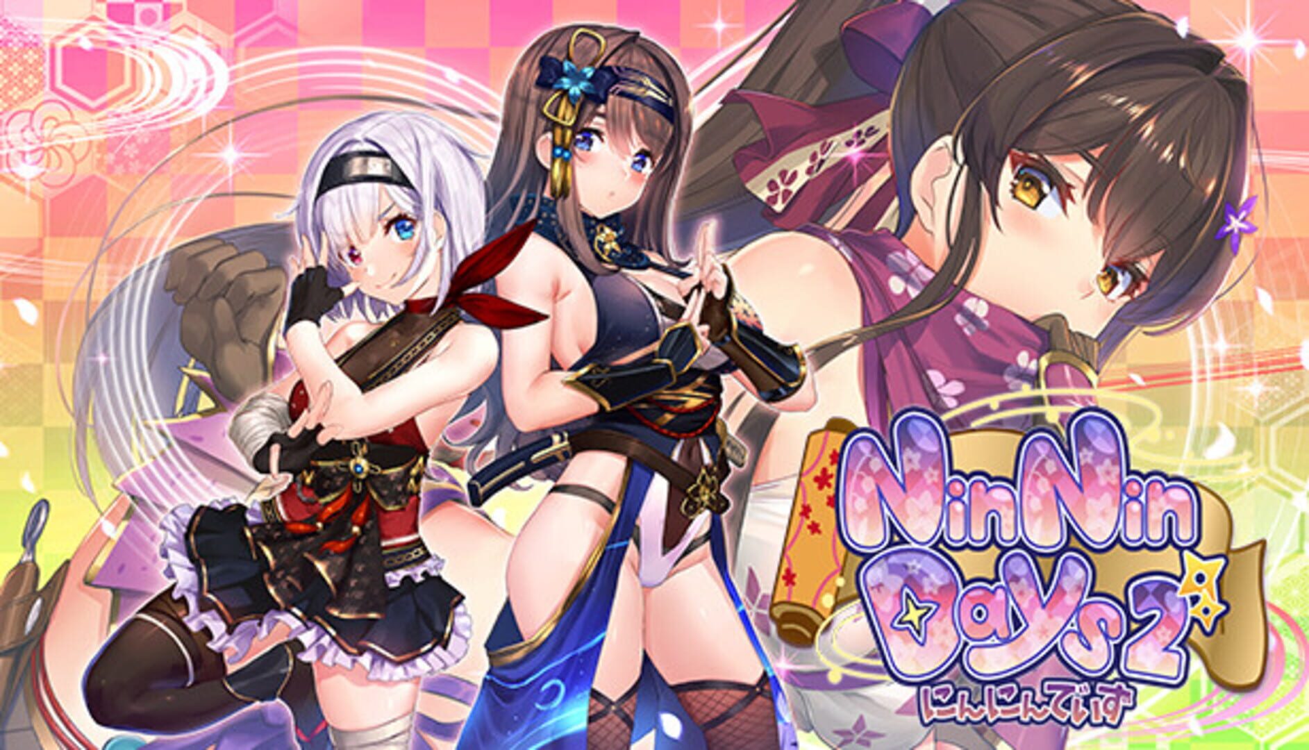 Foto do jogo NinNinDays2