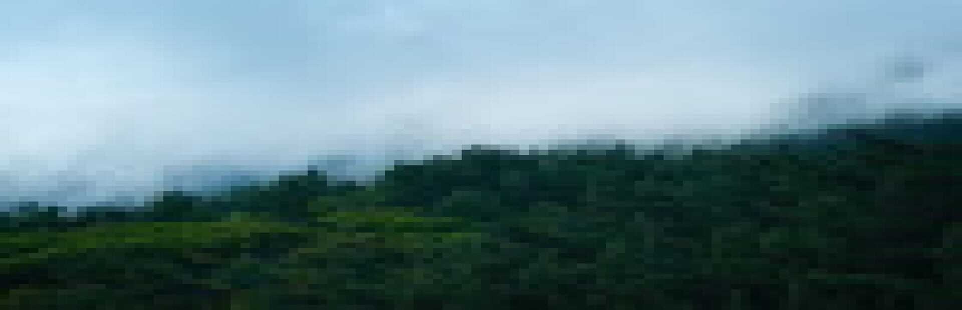 Foto do jogo Lofi Hollow