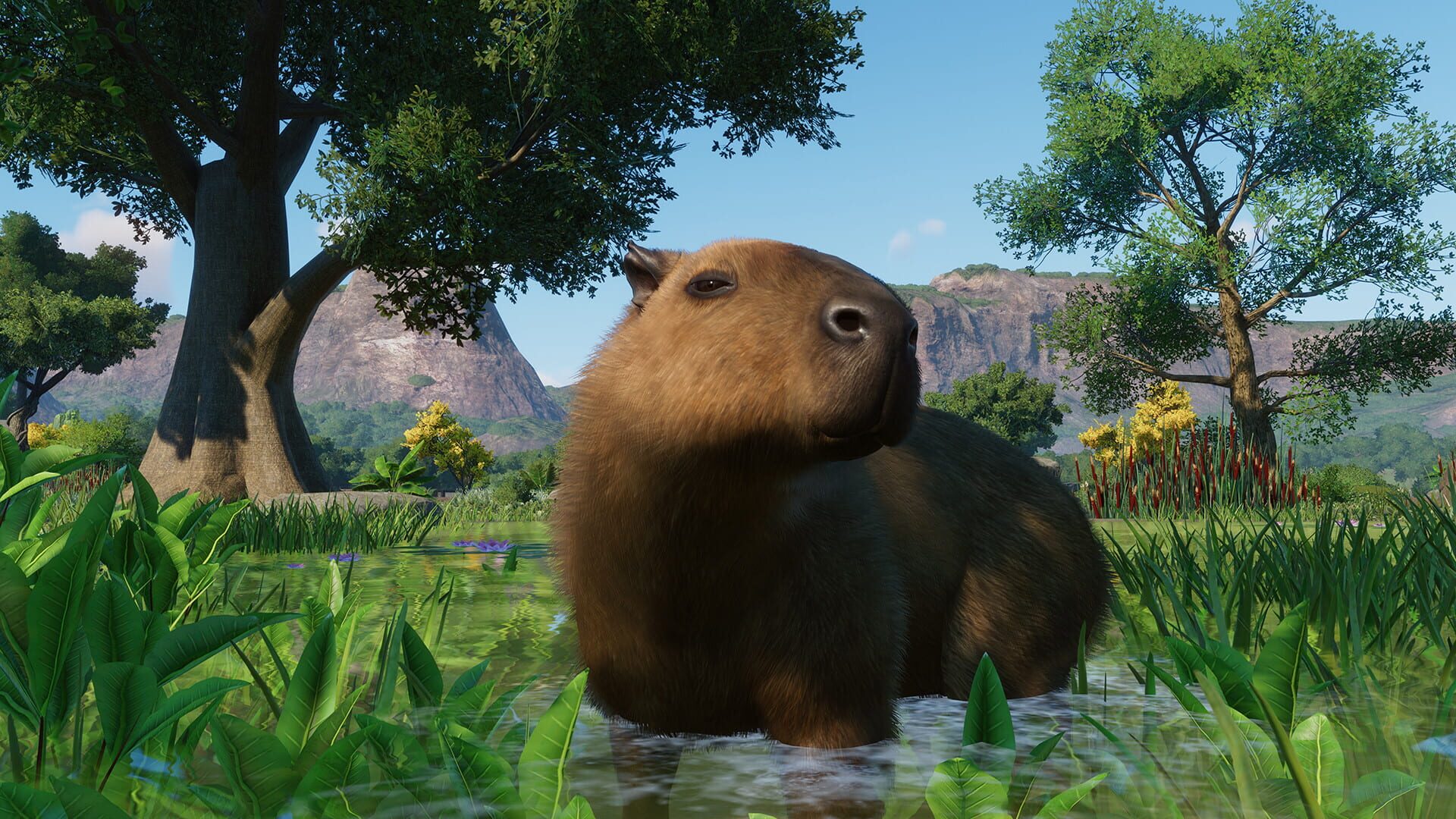 Foto do jogo Planet Zoo: Wetlands Animal Pack