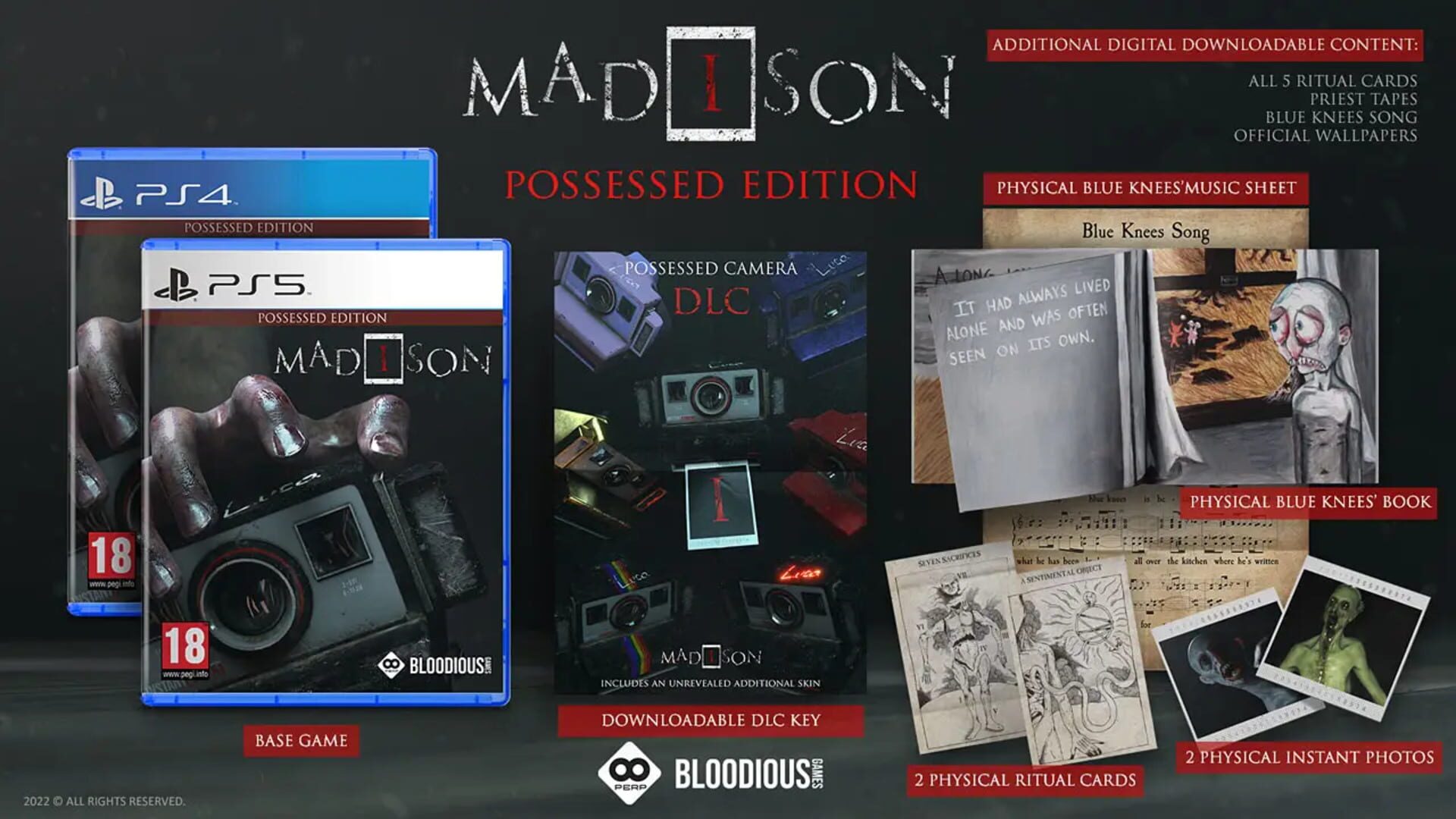 Foto do jogo Madison: Possessed Edition