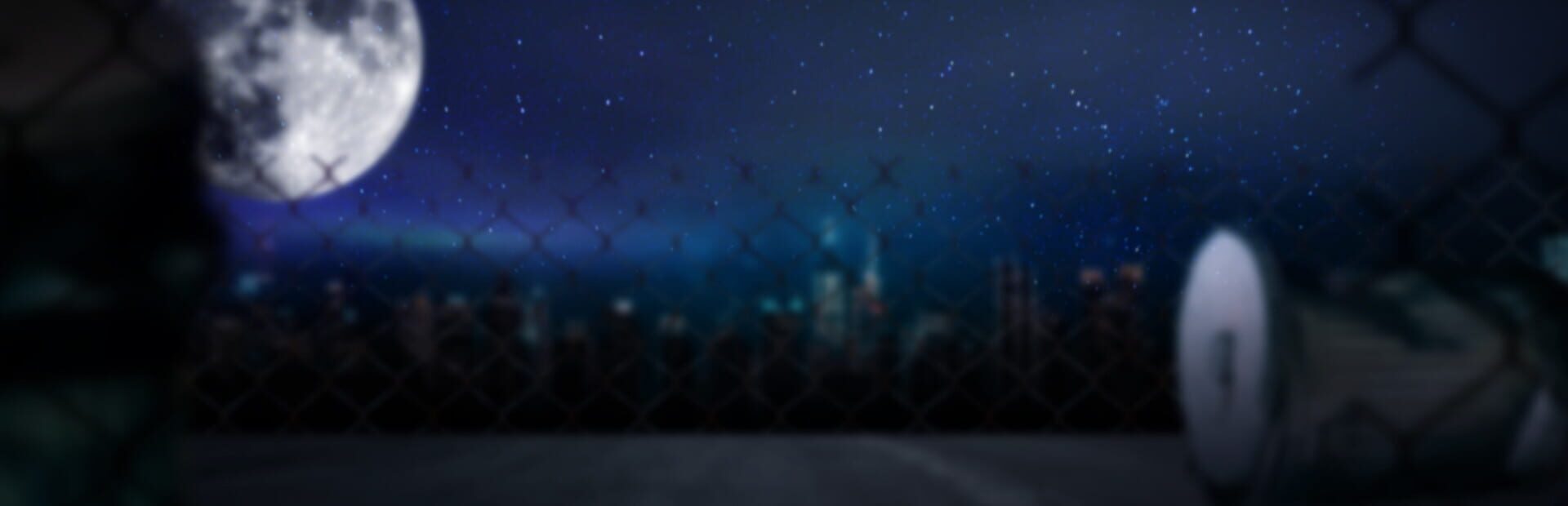 Foto do jogo Raccoon Tales