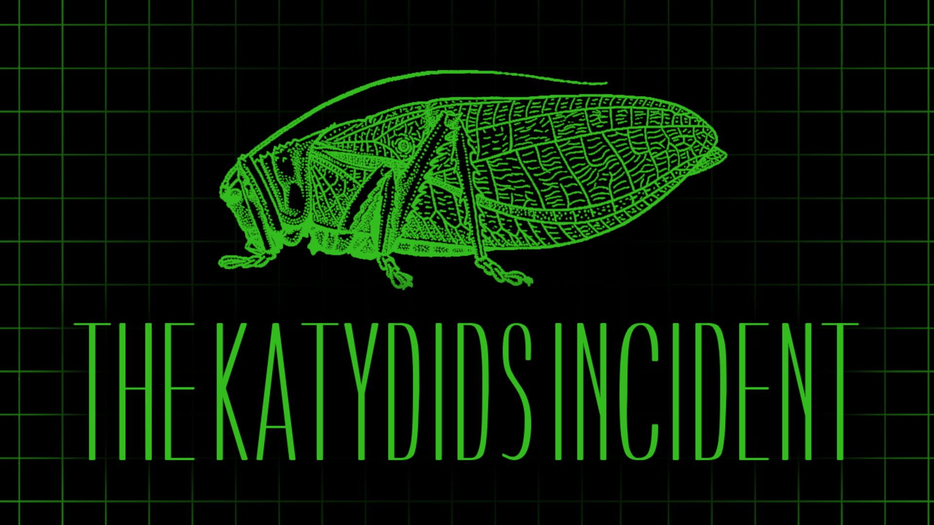 Foto do jogo The Katydids Incident