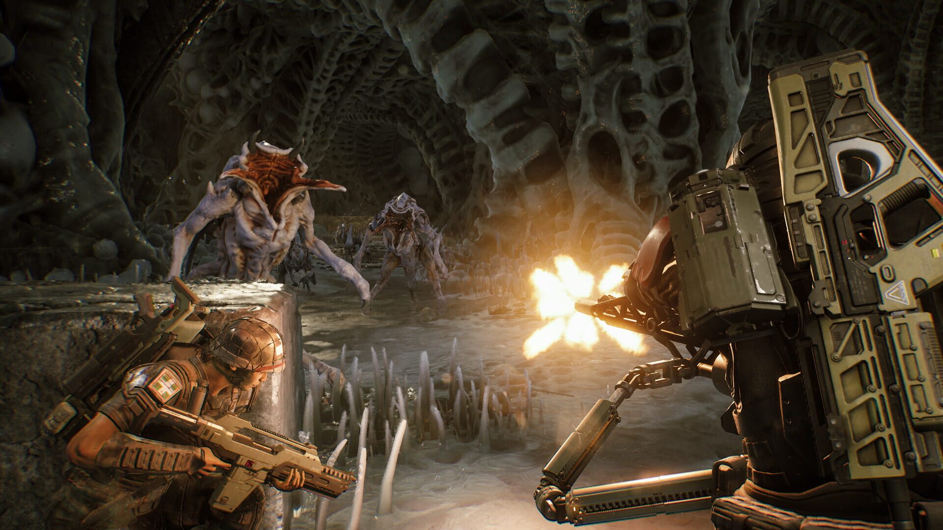 Foto do jogo Aliens: Fireteam Elite - Pathogen