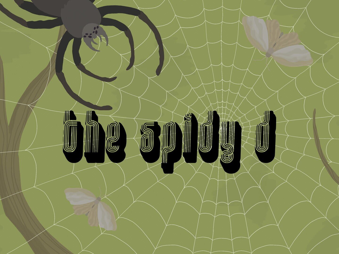 Foto do jogo The Spidy D