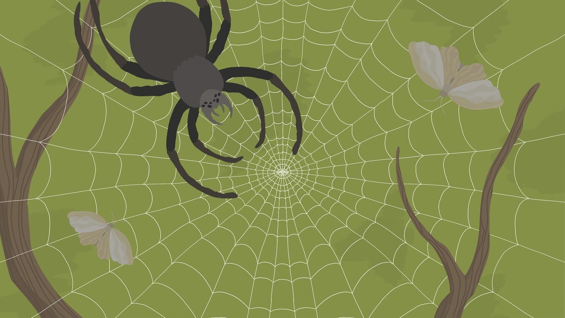 Foto do jogo The Spidy D