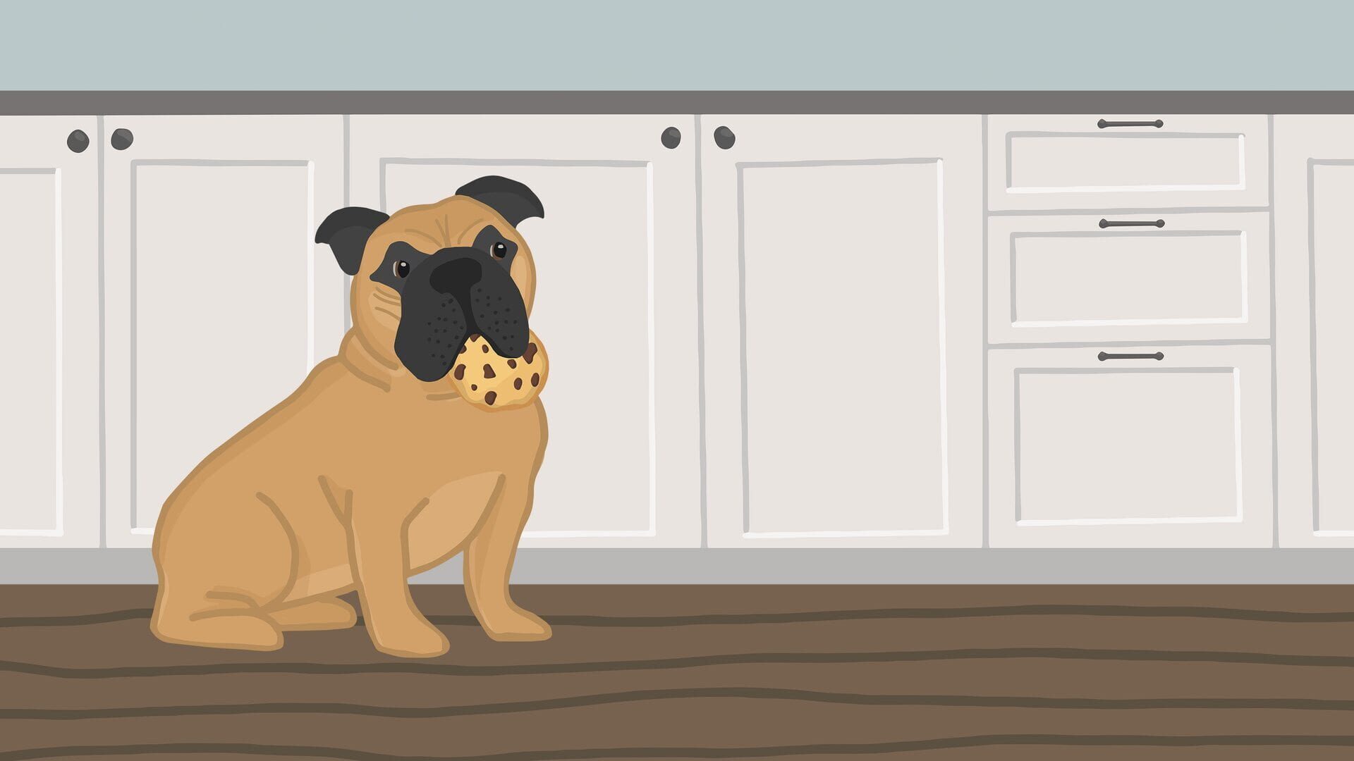 Foto do jogo The Dog K