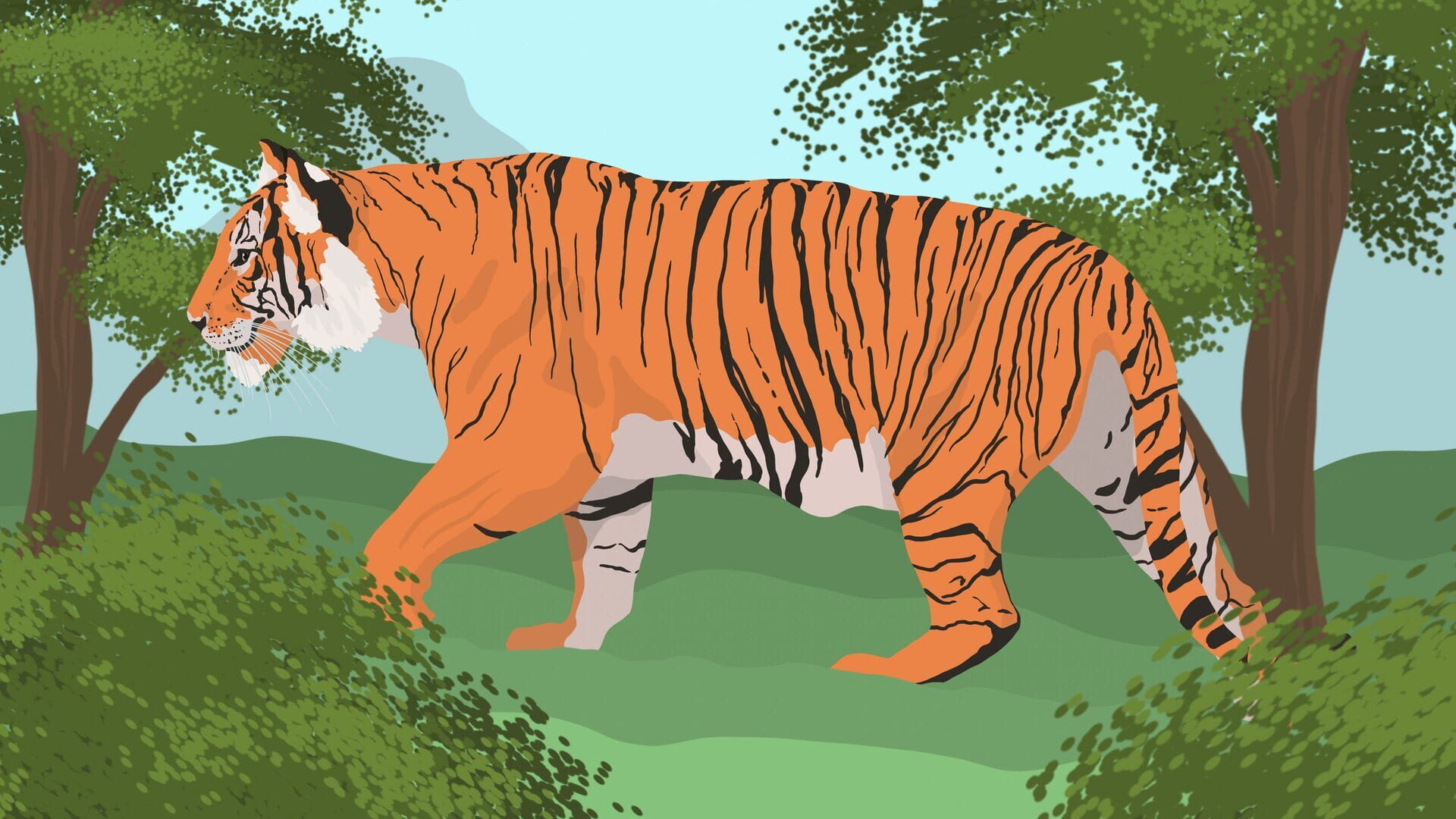 Foto do jogo The Tiger T