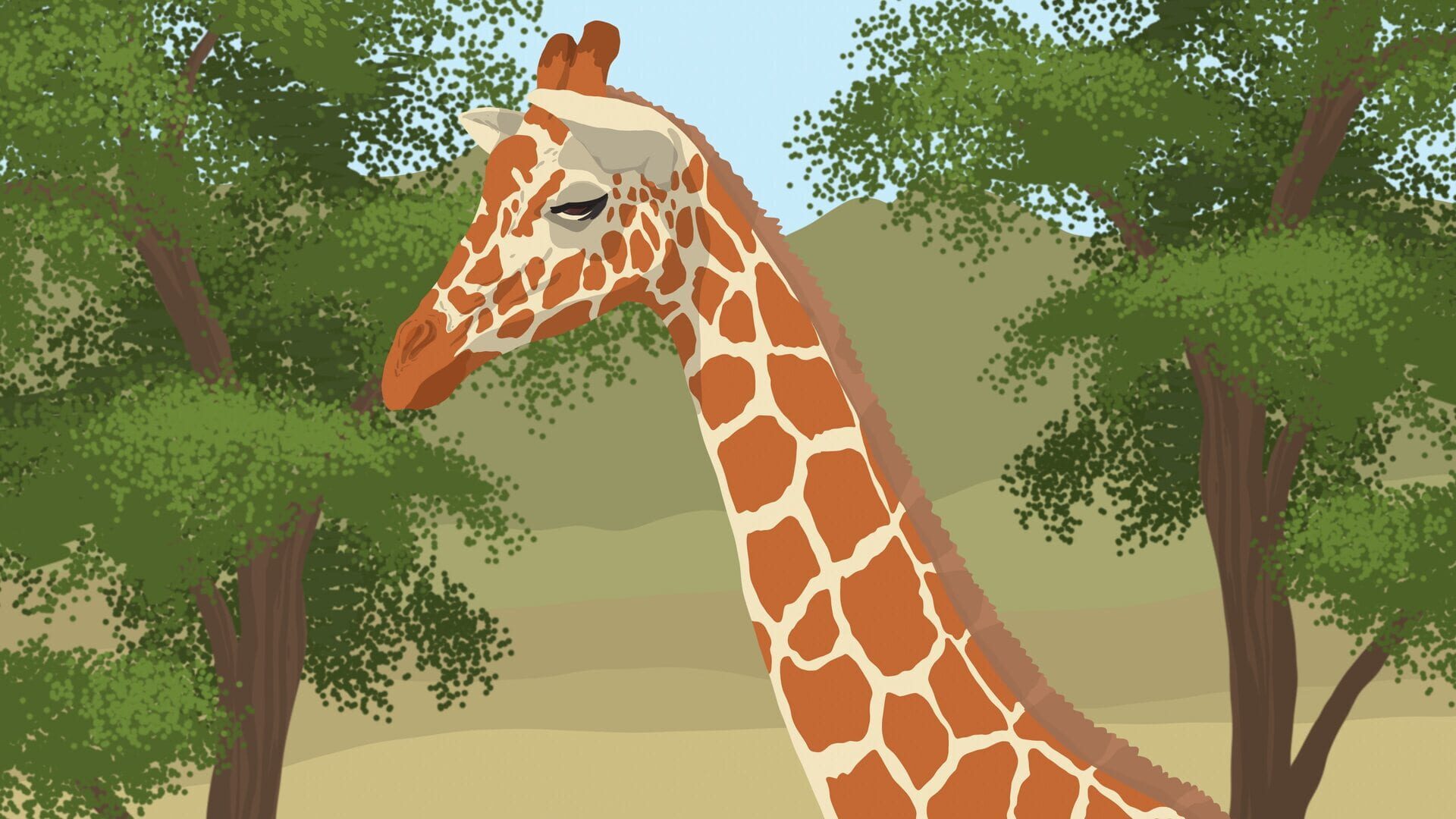Foto do jogo The Giraffe G