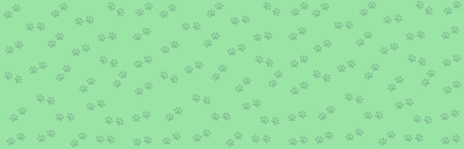 Foto do jogo 1001 Jigsaw: Cute Cats 2
