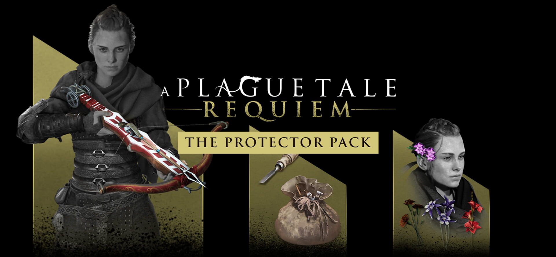 Foto do jogo A Plague Tale: Requiem - Protector Pack