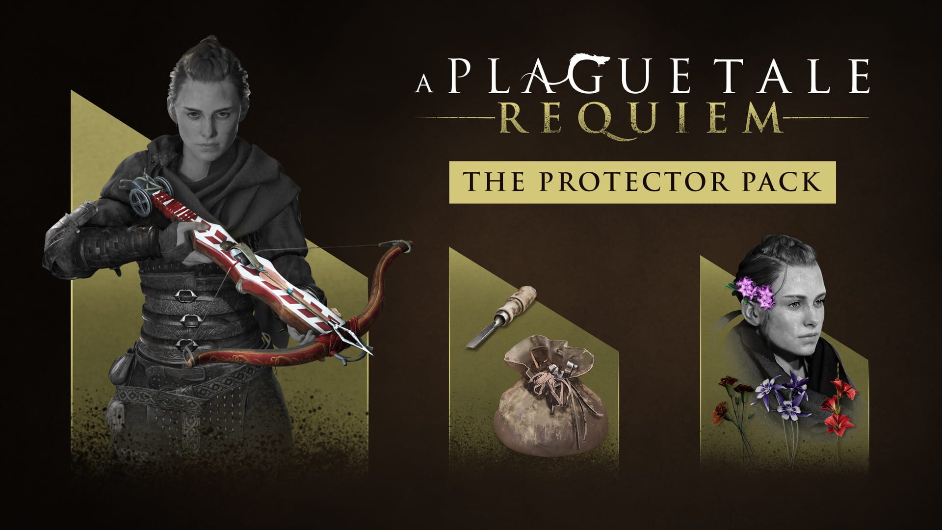 Foto do jogo A Plague Tale: Requiem - Protector Pack