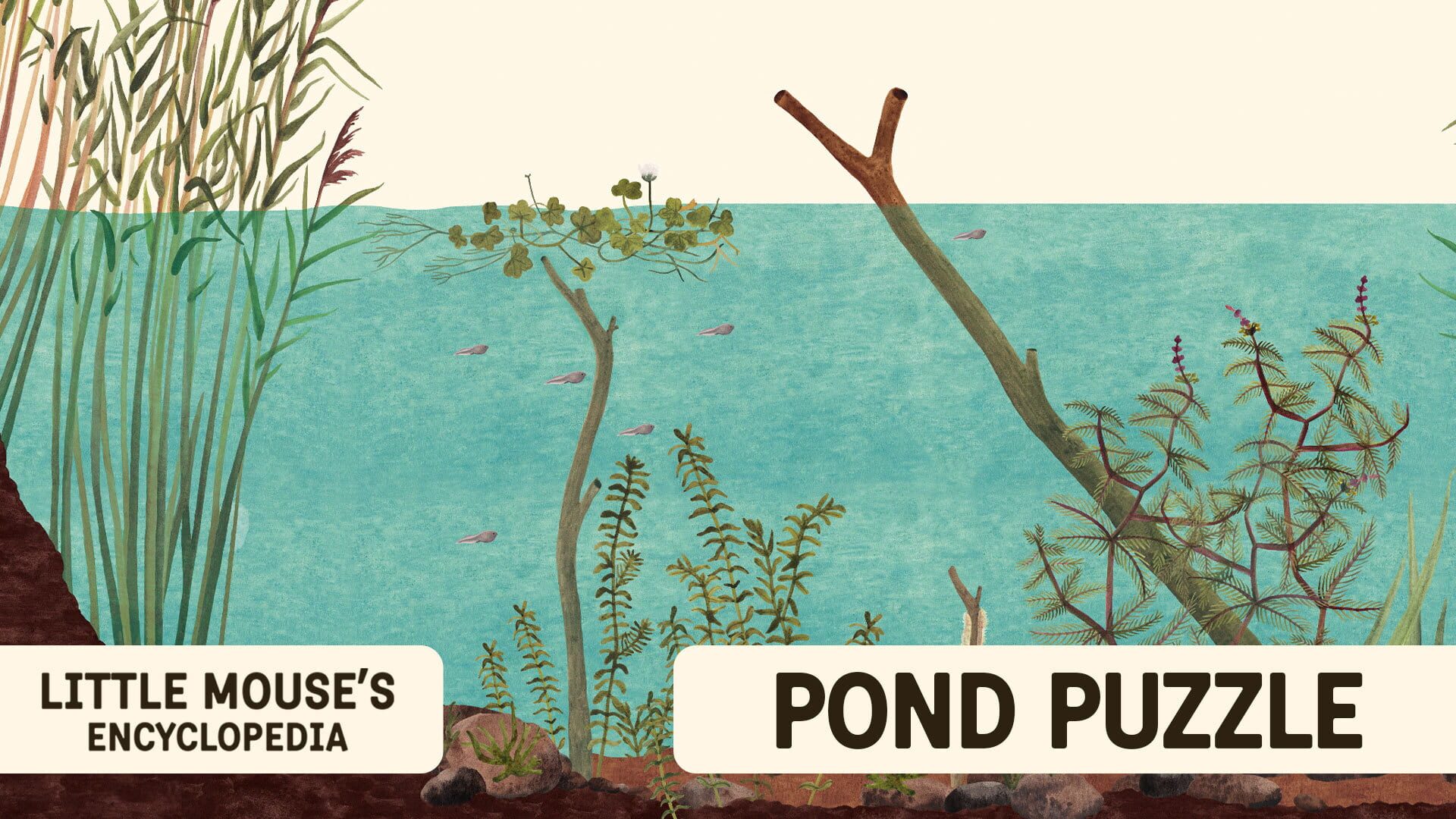Foto do jogo Little Mouse's Encyclopedia: Pond Puzzle