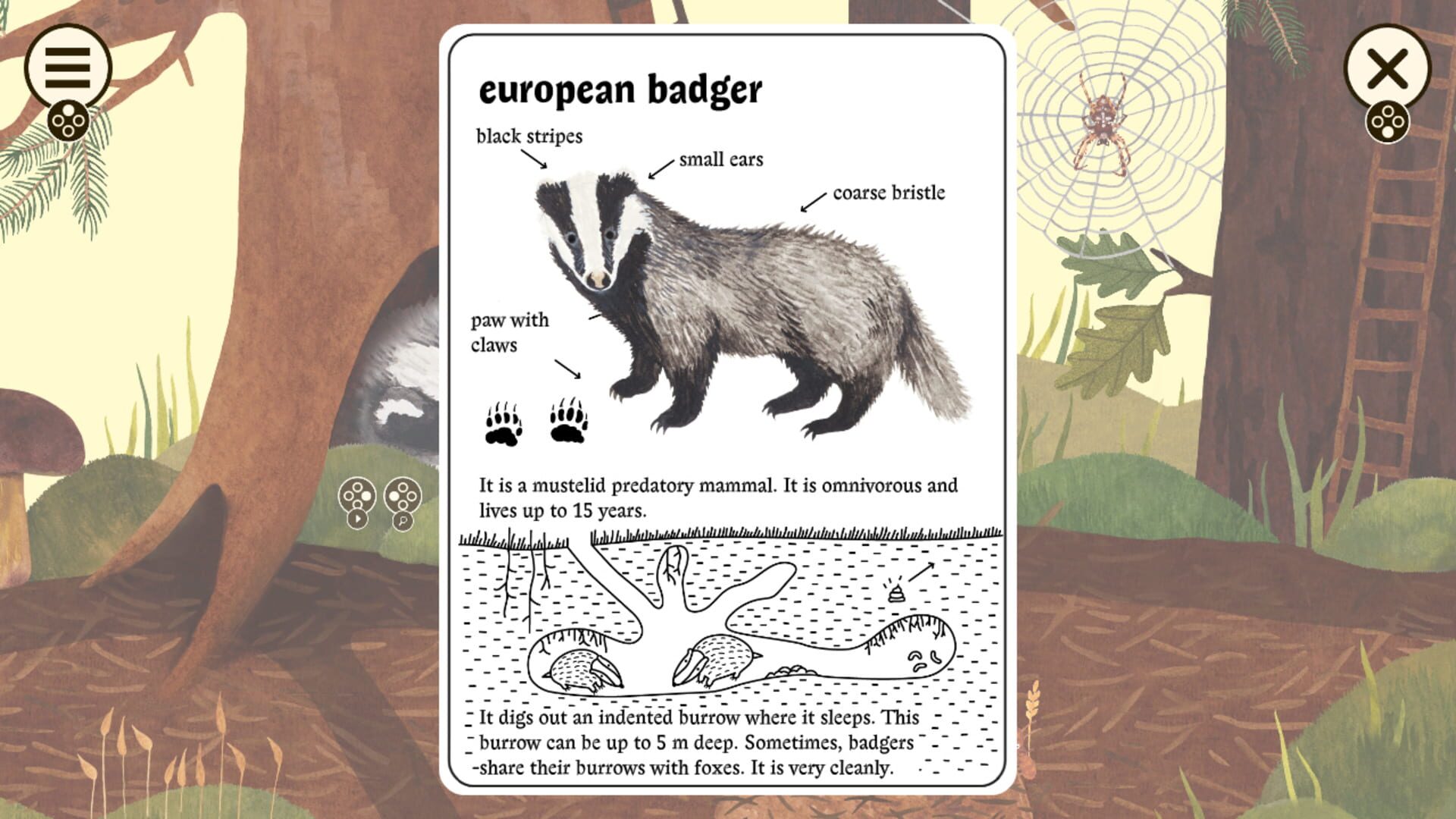Foto do jogo Little Mouse's Encyclopedia: Extended Edition