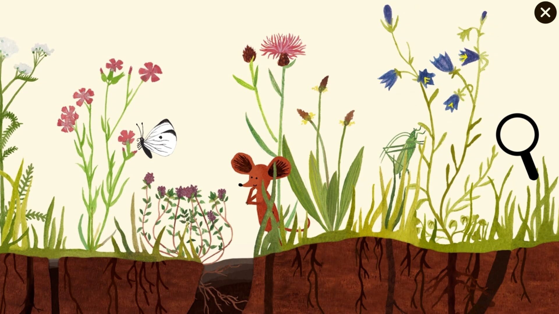 Foto do jogo Little Mouse's Encyclopedia: Ultimate Edition