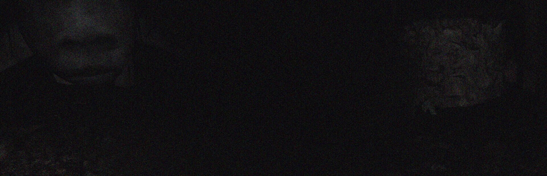 Foto do jogo HugeHead