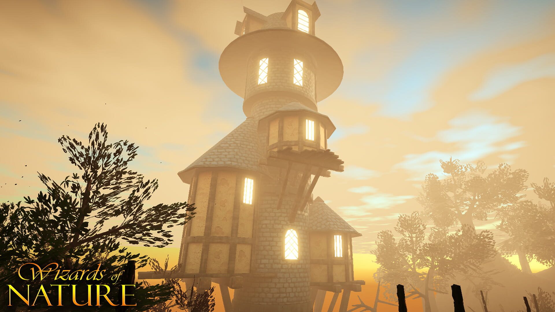 Foto do jogo Wizards of Nature