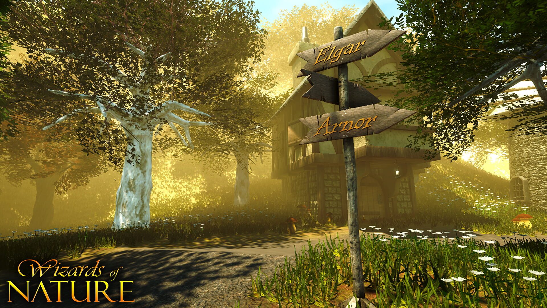 Foto do jogo Wizards of Nature