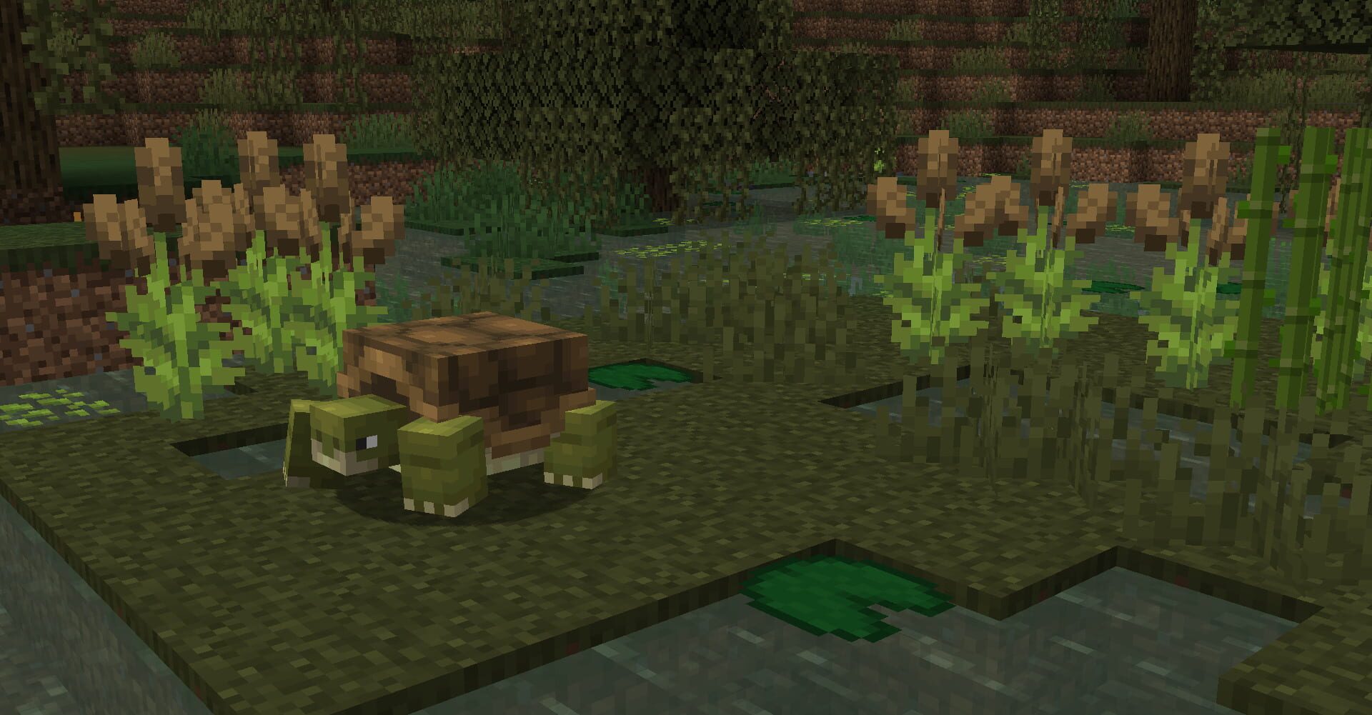 Foto do jogo Naturalist