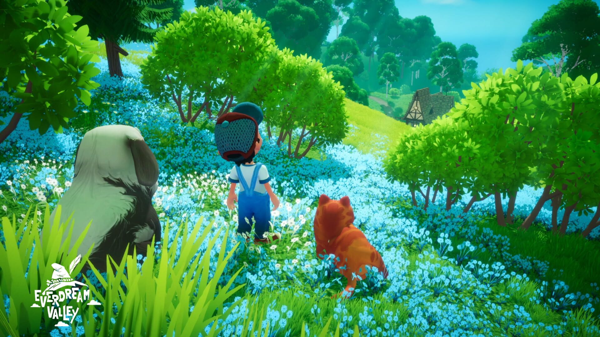 Foto do jogo Everdream Valley