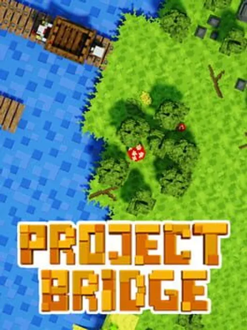 Project Bridge