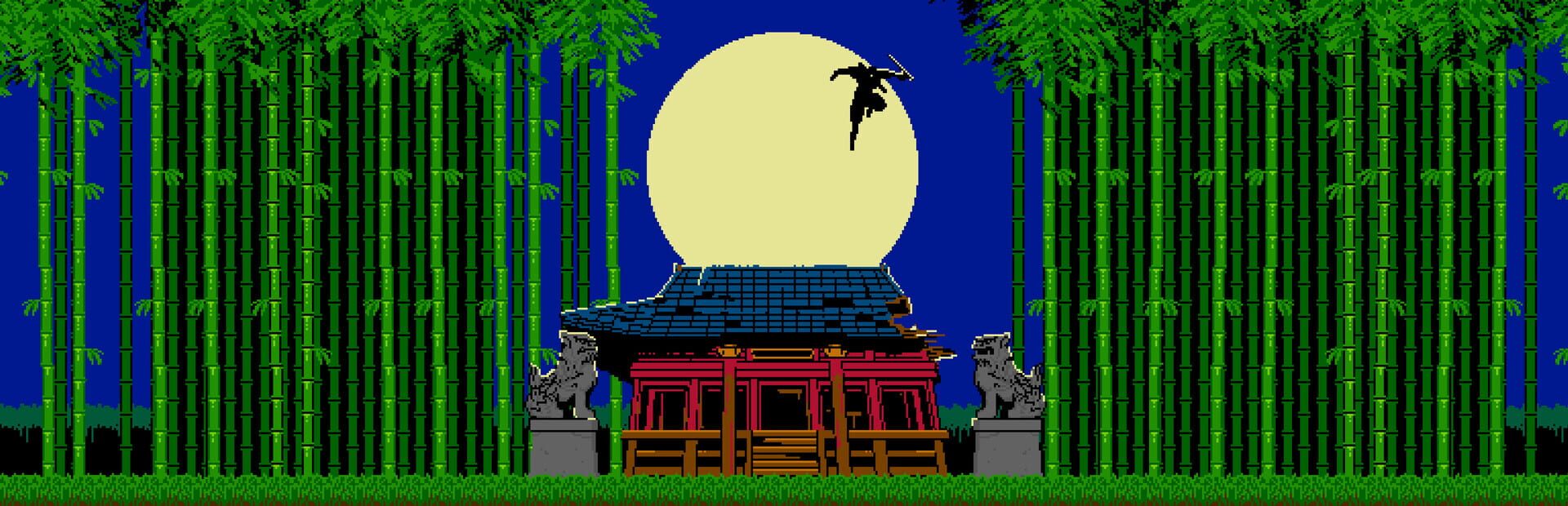 Foto do jogo Shinobi Non Grata