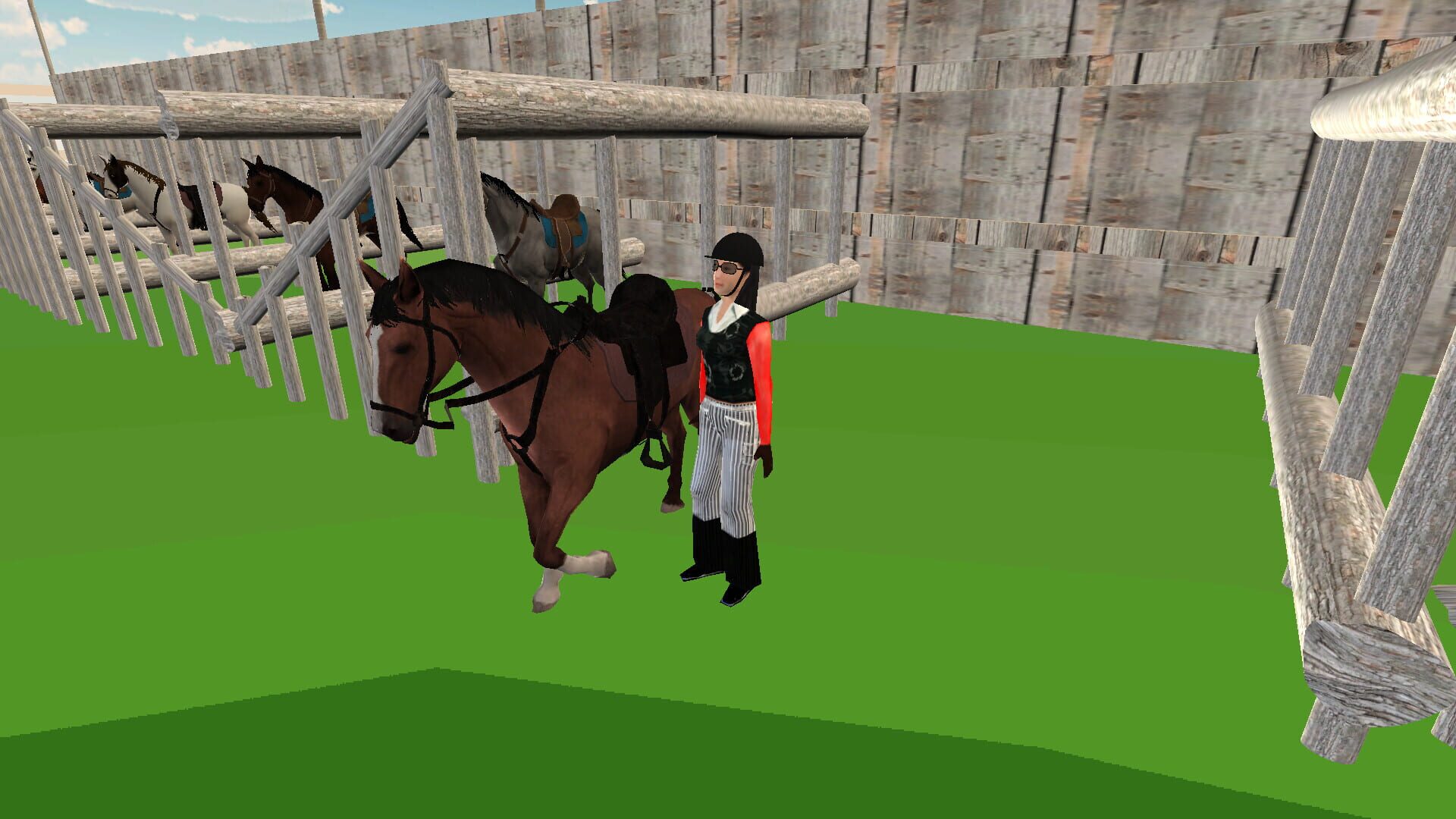 Foto do jogo Riding Horse School