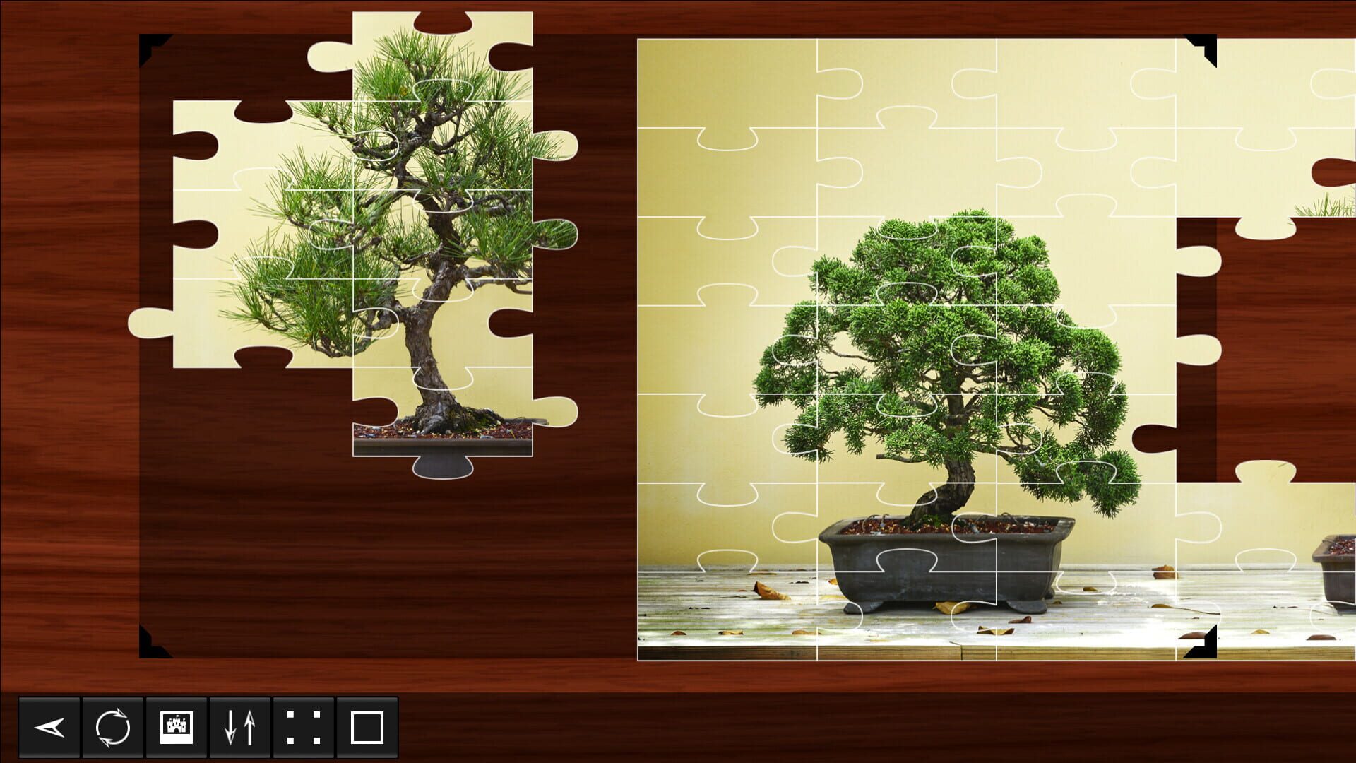 Foto do jogo Jigsaw Puzzle World: Plants