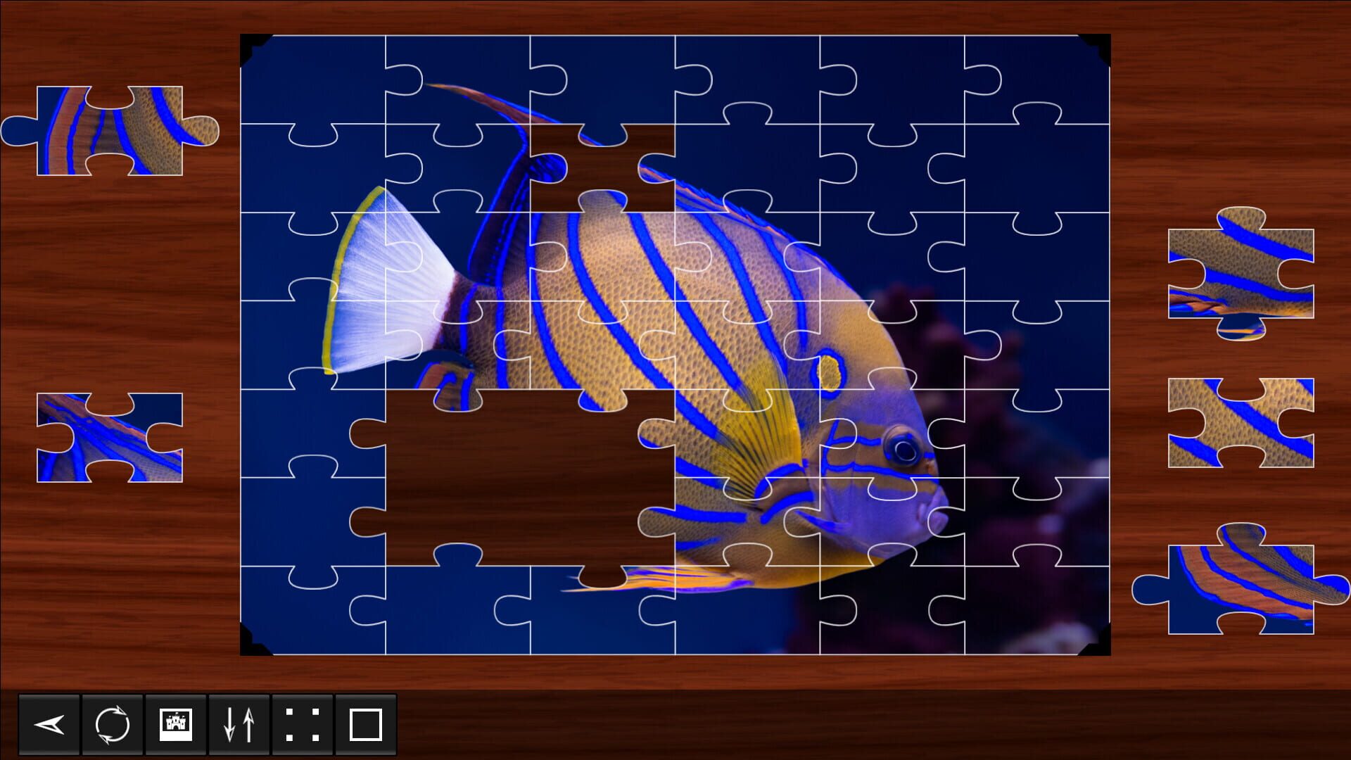 Foto do jogo Jigsaw Puzzle World: Fish