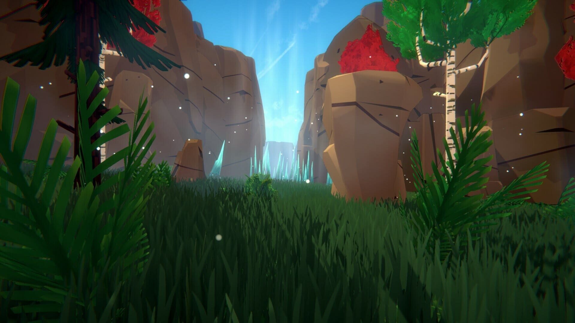 Foto do jogo Dreamy Trail