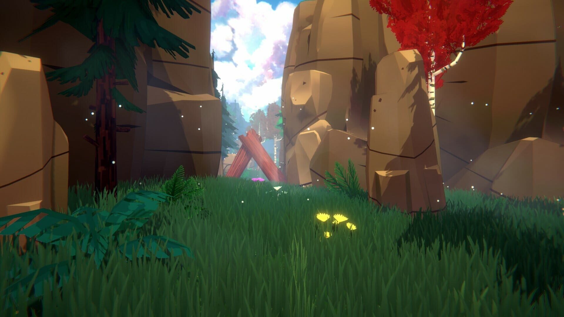 Foto do jogo Dreamy Trail