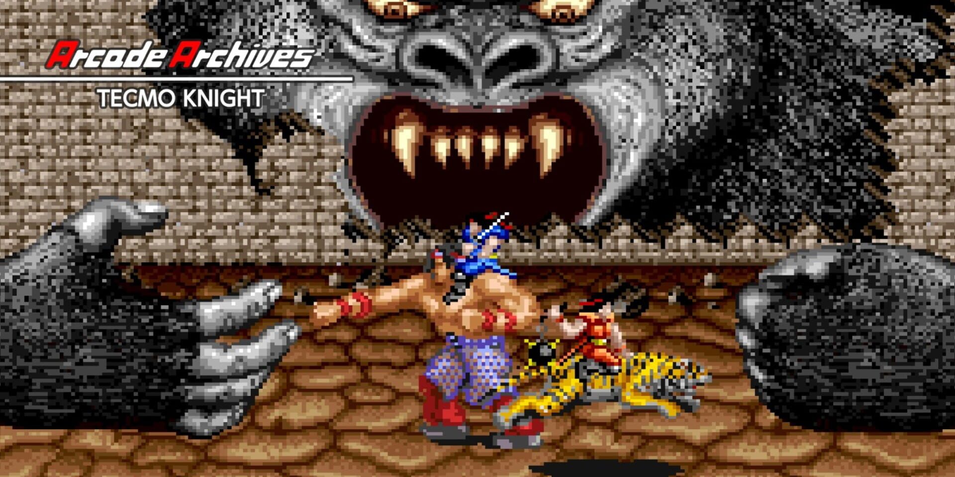 Foto do jogo Arcade Archives: Tecmo Knight