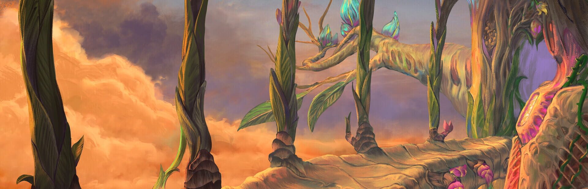 Foto do jogo Ceiba