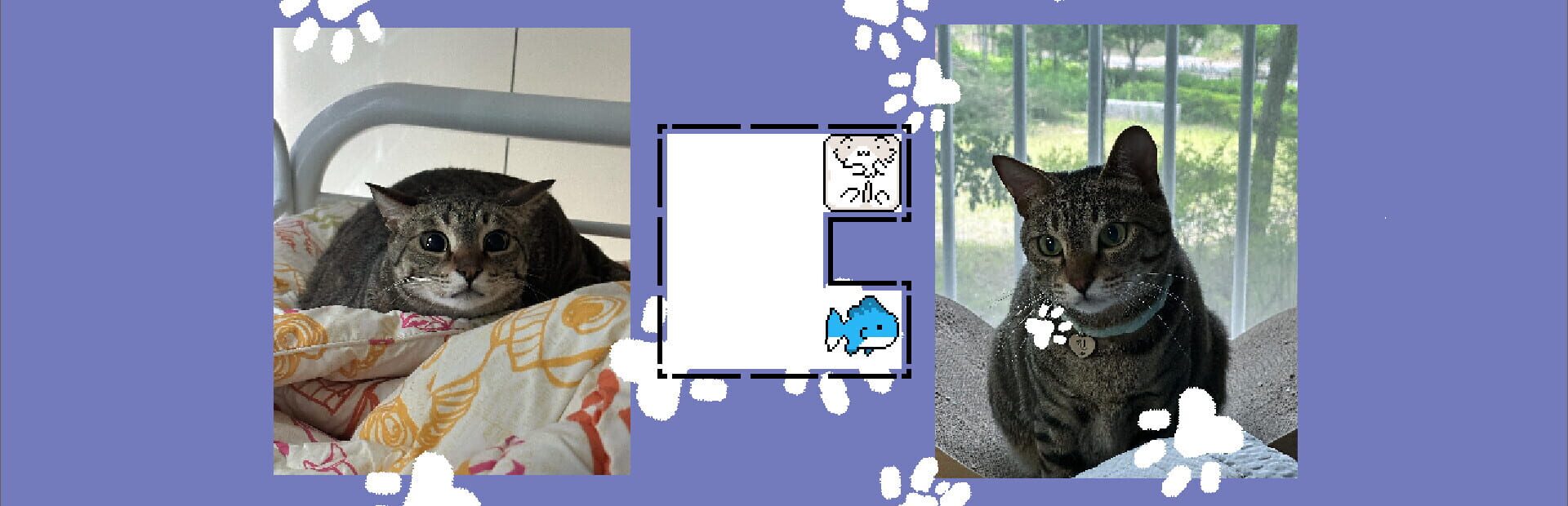 Foto do jogo JustWatchMyCat