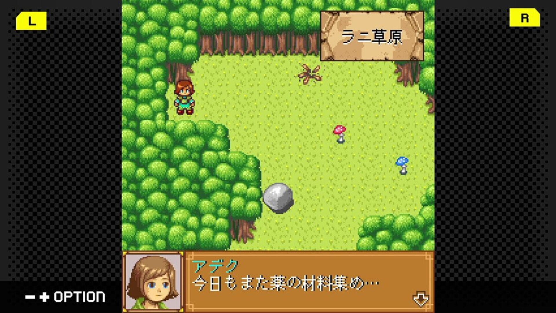 Foto do jogo G-Mode Archives 48: Dragon x Dragon 2