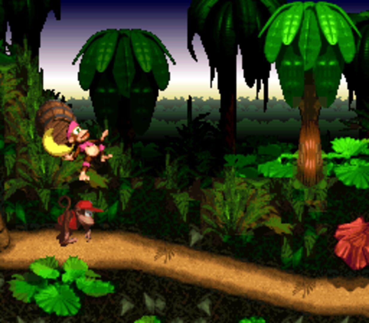 Foto do jogo Dixie Kong Country