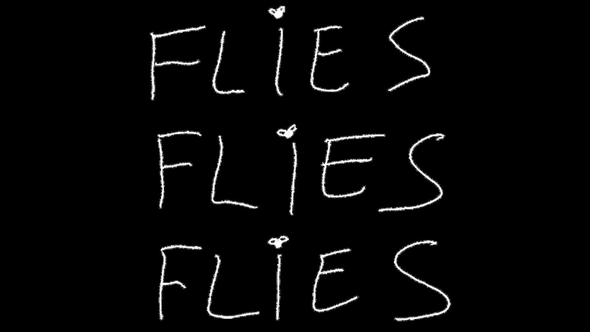 Foto do jogo Flies Flies Flies