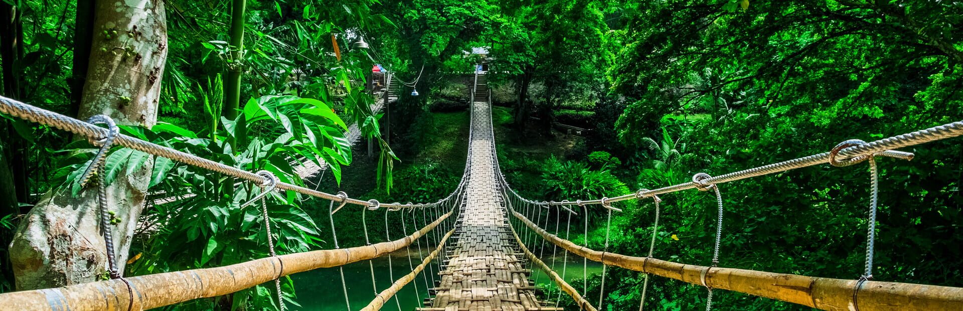 Foto do jogo Nature Escapes 4