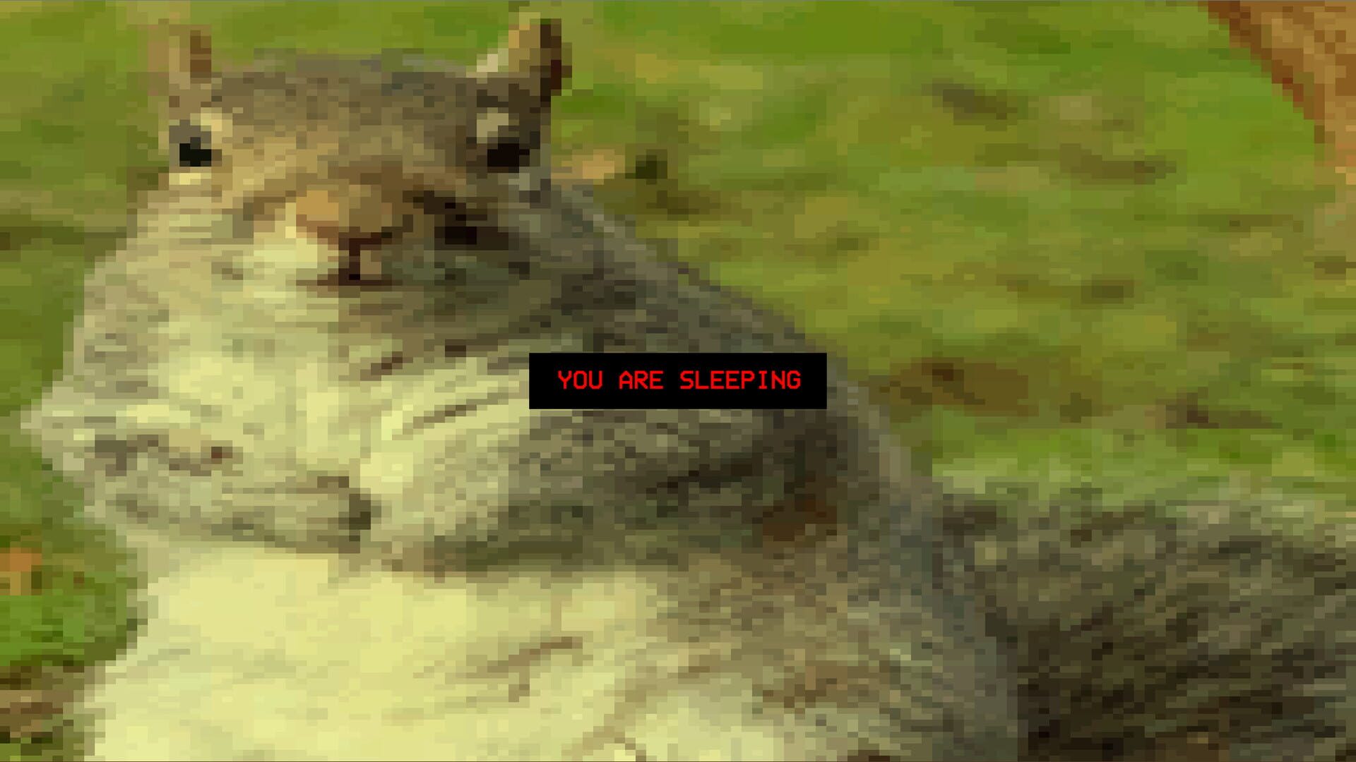 Foto do jogo Squirrel Stapler