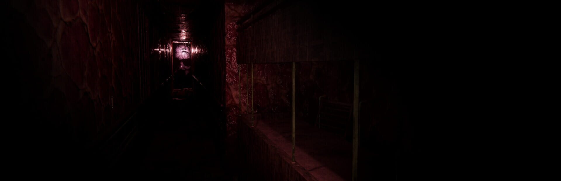 Foto do jogo Sorrow Asylum 2