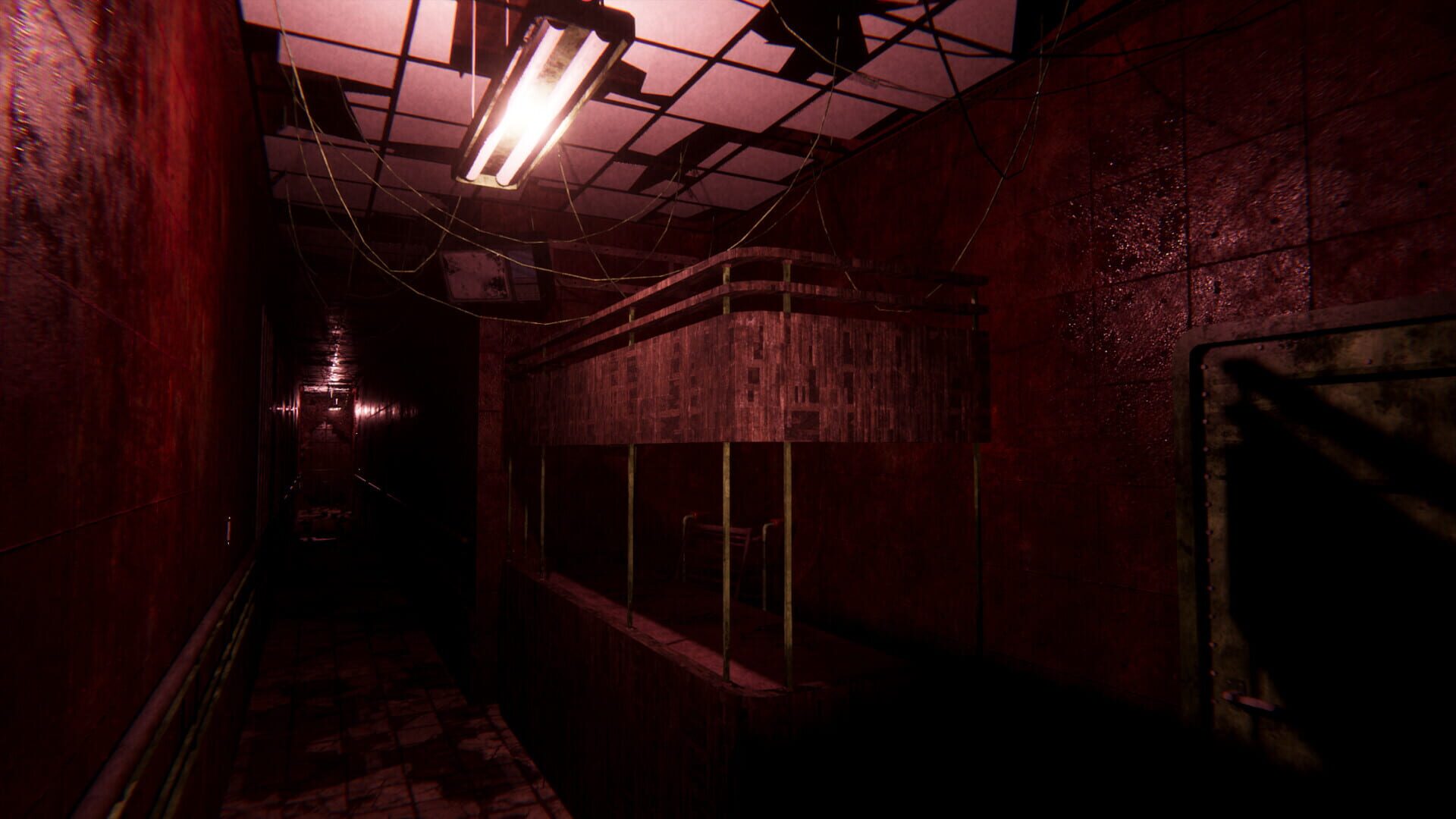 Foto do jogo Sorrow Asylum 2