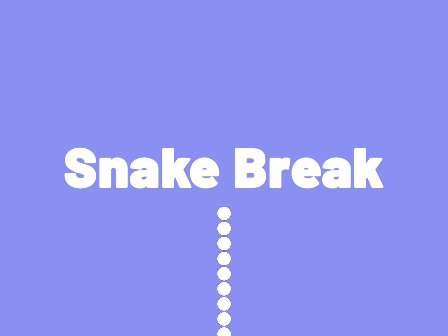 Foto do jogo Snake Break