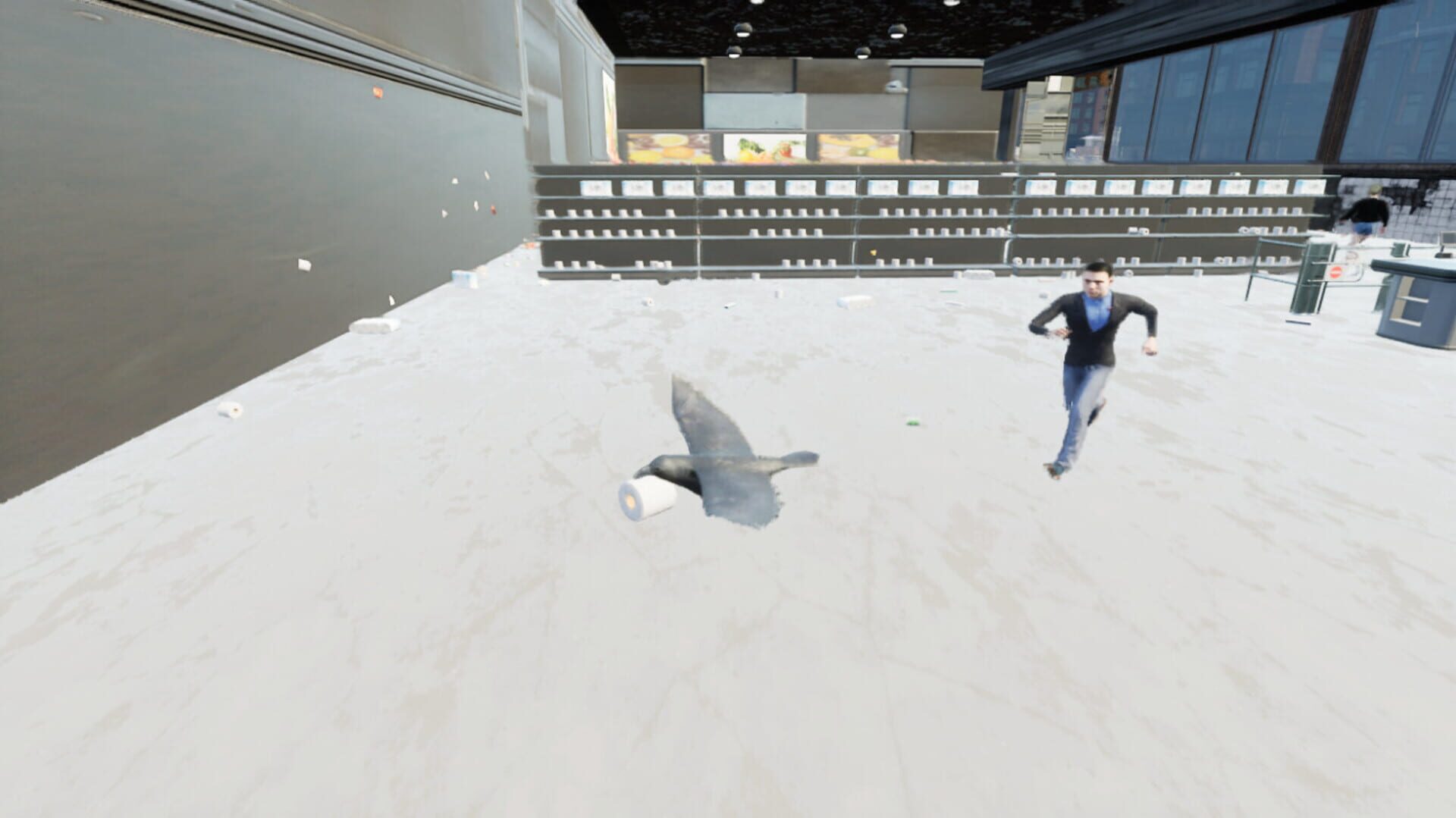 Foto do jogo Raven Simulator