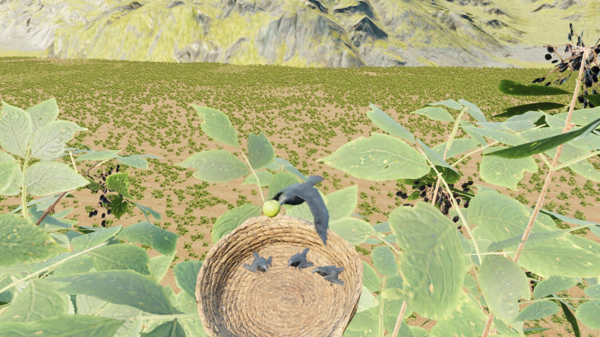 Foto do jogo Raven Simulator