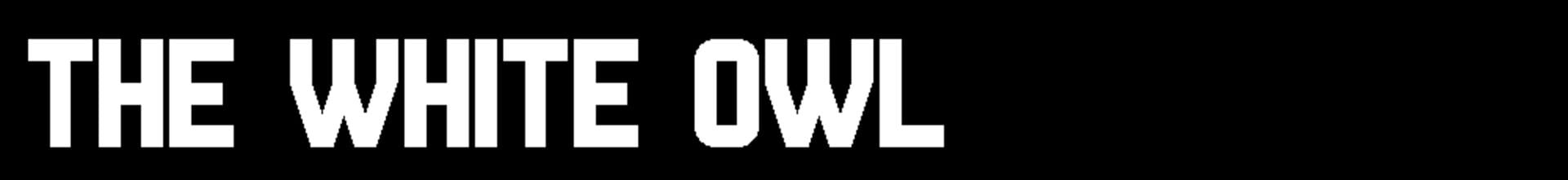 Foto do jogo The White Owl
