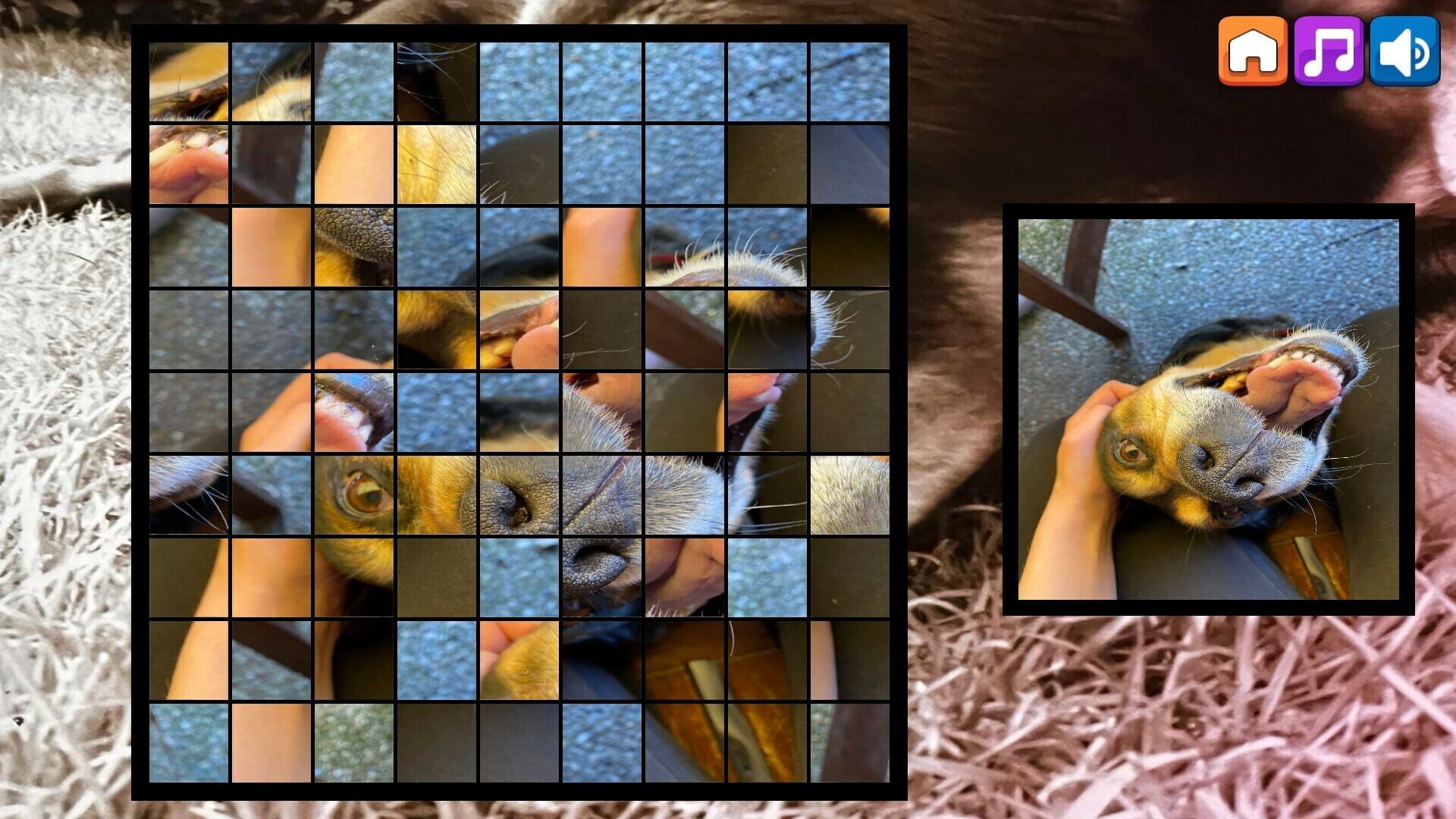 Foto do jogo OG Puzzlers: Kira Maus