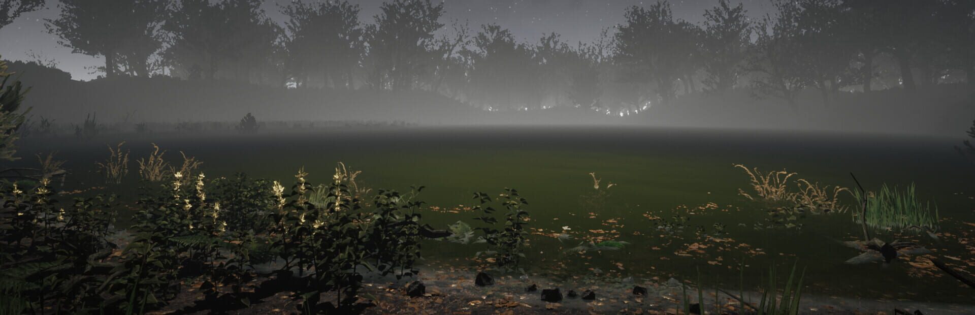 Foto do jogo The Witches Pond