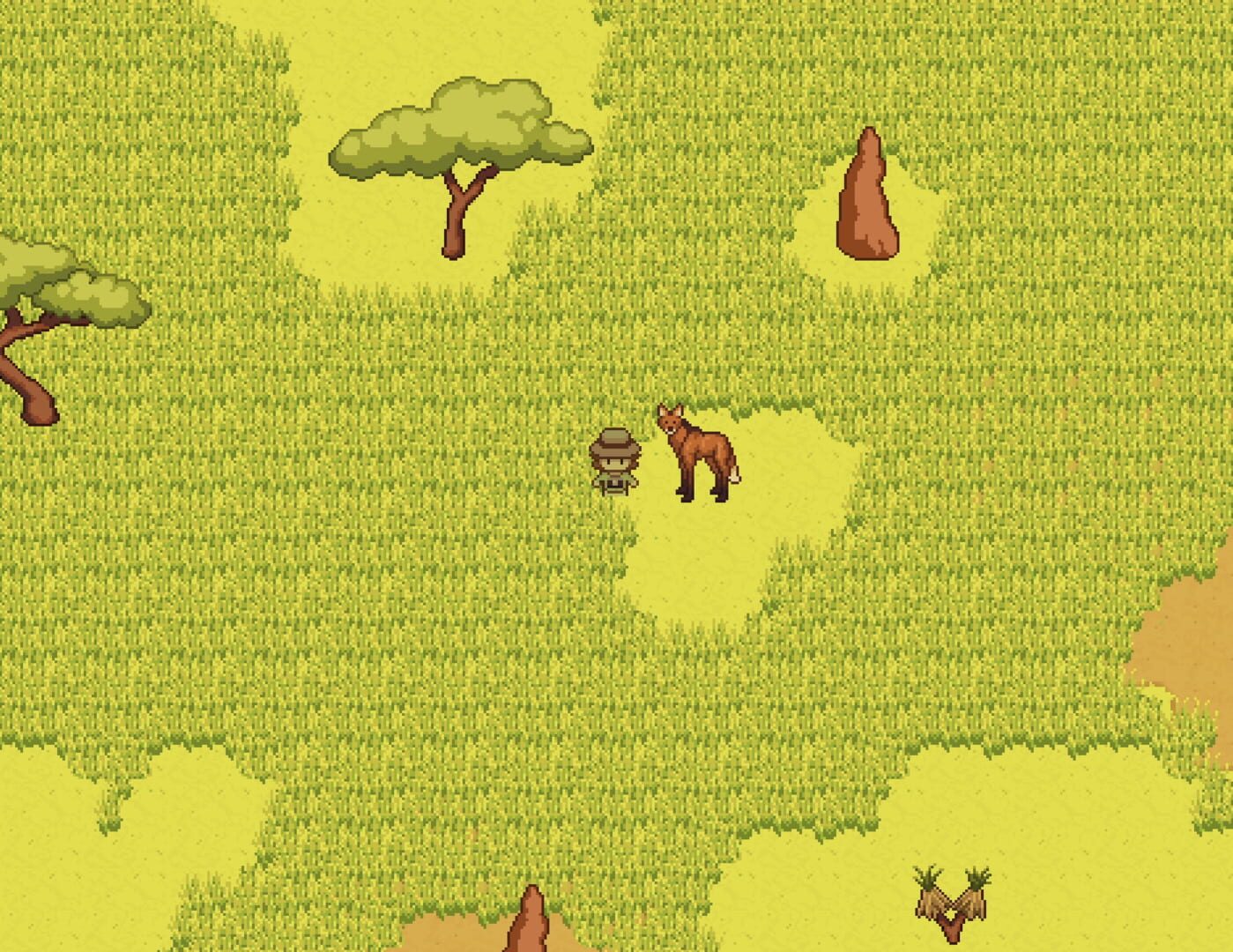 Foto do jogo Snap! A Cerrado Adventure