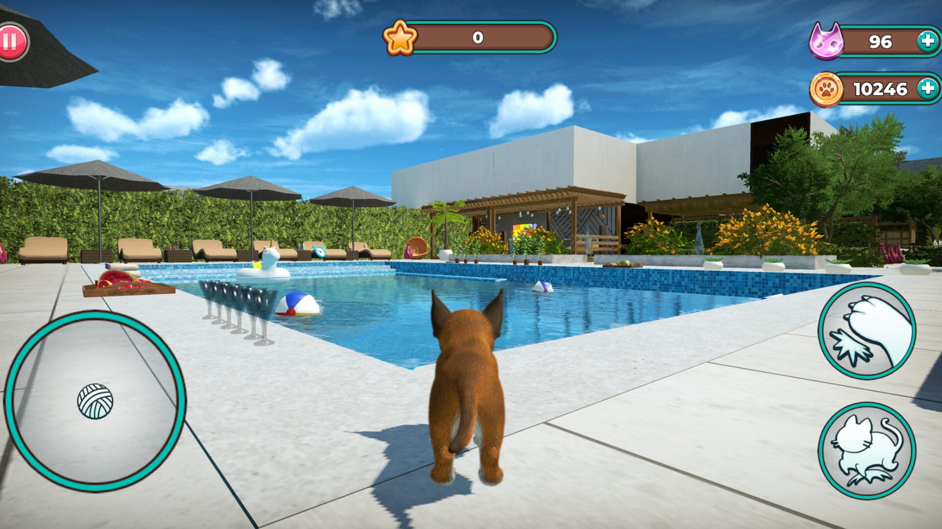 Foto do jogo Cat Simulator 2