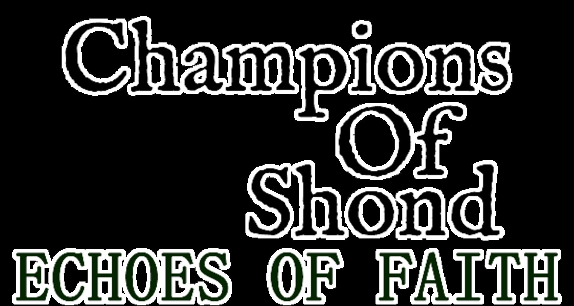 Foto do jogo Champions of Shond: Echoes of Faith