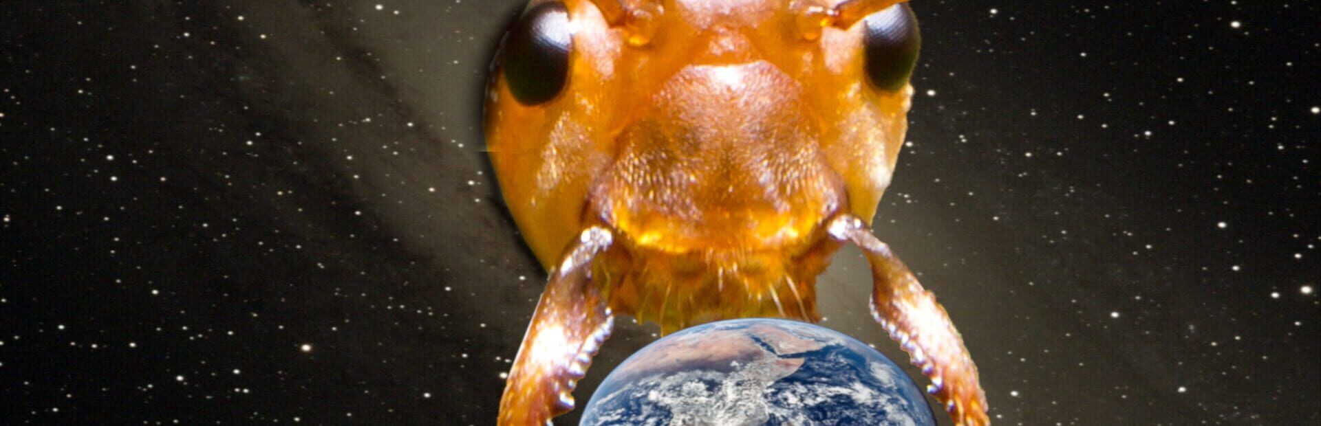 Foto do jogo 2023: Alien Bugs Invade Earth